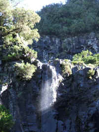 madeira06 025.jpg (108170 Byte)