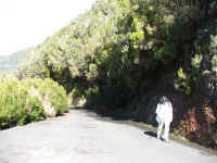 madeira06 032.jpg (93474 Byte)