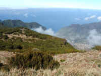 madeira06 043.jpg (83607 Byte)