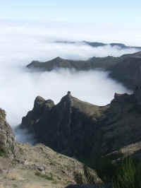 madeira06 082.jpg (45290 Byte)