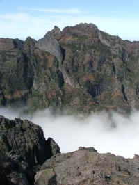 madeira06 084.jpg (72214 Byte)