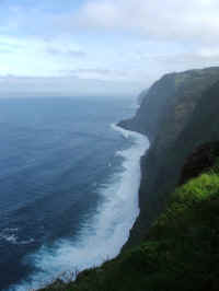 madeira06 107.jpg (41469 Byte)