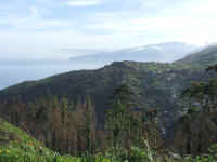 madeira06 110_2.jpg (65701 Byte)