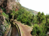 madeira06 137.jpg (113501 Byte)