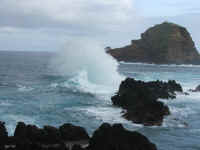 madeira06 149c.jpg (51459 Byte)