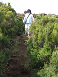 madeira06 210c.jpg (106542 Byte)