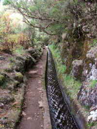 madeira06 210m_2.jpg (137794 Byte)