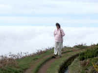 madeira06 228_2.jpg (45368 Byte)