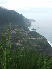 madeira06 248b_2.jpg (49138 Byte)