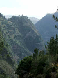 madeira06 248r_2.jpg (57366 Byte)