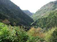 madeira06 248v_2.jpg (107047 Byte)