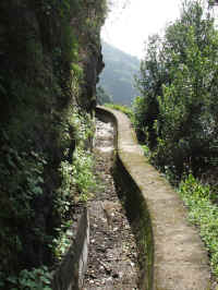 madeira06 248z6.jpg (124701 Byte)