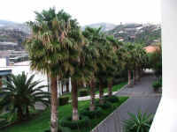 madeira06 055.jpg (97593 Byte)