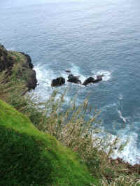 madeira06 057.jpg (110853 Byte)