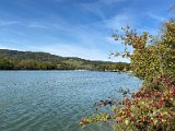 IMG_2803