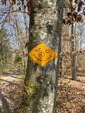 IMG_3807