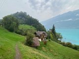 IMG_2576