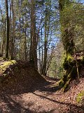 IMG_5766