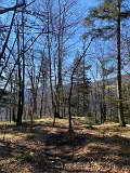 IMG_5768