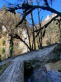 IMG_5782