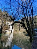 IMG_5783
