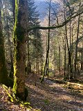 IMG_5796