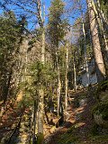 IMG_5797