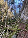 IMG_5798
