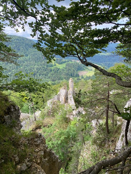 IMG_6420.JPEG - Da war nie ein Schloss