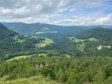 IMG_6421