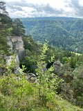 IMG_6423