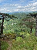 IMG_6427