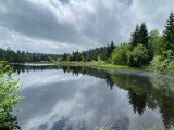 IMG_6302