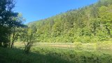 IMG_7075
