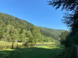 IMG_7082