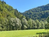 IMG_7085
