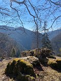 IMG_5770