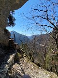 IMG_5774
