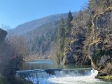 IMG_5788