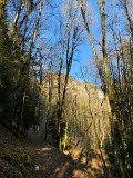 IMG_5799
