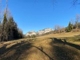IMG_5800