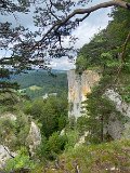 IMG_6417