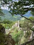 IMG_6420