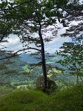 IMG_6426