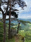 IMG_6428