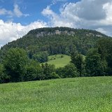 IMG_6431