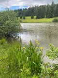 IMG_6378