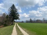 IMG_6040