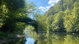 IMG_7079-1
