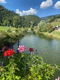 IMG_7093